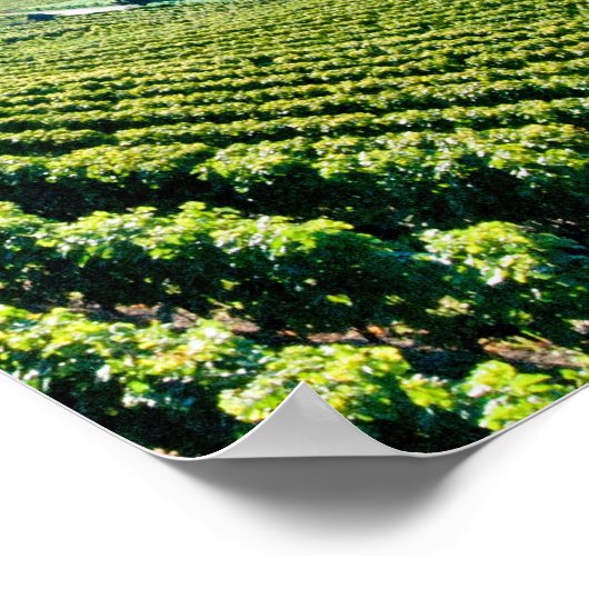 Meer van Genève (Lac Léman) 017 Poster (Hoek)