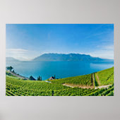 Meer van Genève (Léman) 007 Poster (Voorkant)