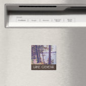 Meer van Genève,  plaats Wisconsin Magneet (Insitu (Vaatwasser))