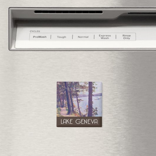 Meer van Genève, plaats Wisconsin Magneet (Insitu (Vaatwasser))