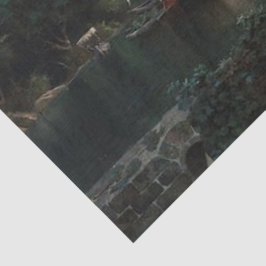 Meer van Genève Tissuepapier (Detail)