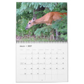 Meer van Kabetogama Kalender (Mar 2027)