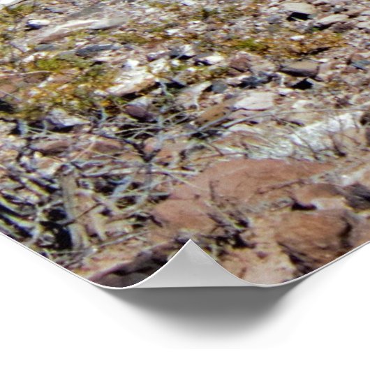 Meer van Mead Nevada Poster (Hoek)