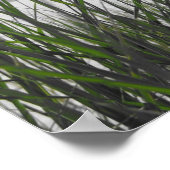 Meer van Michigan achter gras Poster (Hoek)