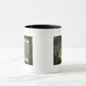 Meer van Nemi, 1843 Mok (Midden)