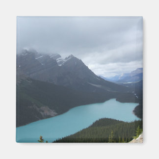 Meer van Peyo Magnet