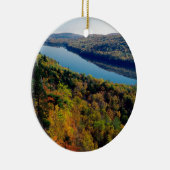 Meer van Porcupine Keramisch Ornament (Rechts)