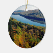 Meer van Porcupine Keramisch Ornament (Links)