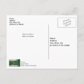 Meer van Springfield Avondstilte Dank je Briefkaart (Achterkant)