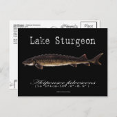 Meer van Sturgeon-Black-Briefkaart Briefkaart (Voorkant / Achterkant)