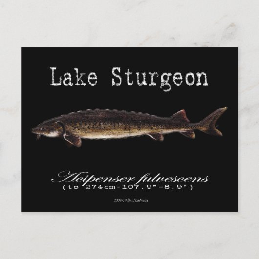 Meer van Sturgeon-Black-Briefkaart Briefkaart (Voorkant)