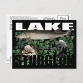 Meer van Sturgeon-Collage-Briefkaart Briefkaart (Voorkant / Achterkant)