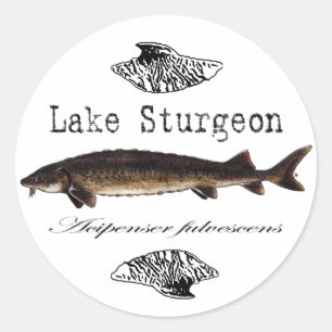 Meer van Sturgeon Ronde Sticker