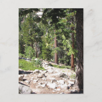 Meer van Tahoe Briefkaart