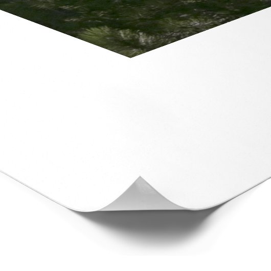 Meer van Tahoe Poster (Hoek)