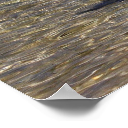 Meer van Tahoe Poster (Hoek)