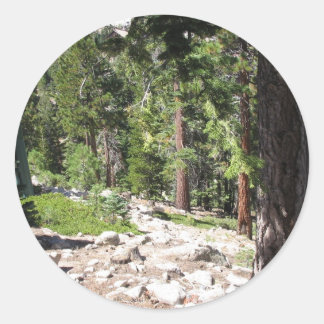 Meer van Tahoe Ronde Sticker