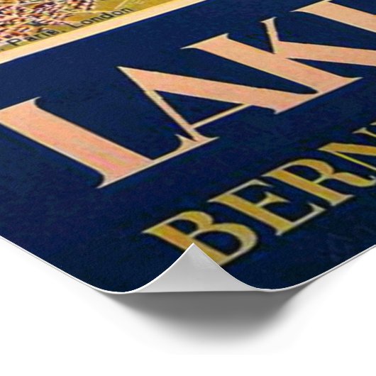  Meer van Thun Zwitserland Reis Poster (Hoek)