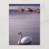 Meer van Windermere Briefkaart (Voorkant)