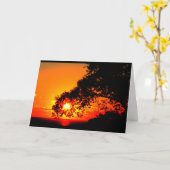 Meer van Winnebago Zonnebakken denken aan jou Kaart (Gele Bloem)