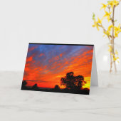 Meer van Winnebago Zonnebakken denken aan jou Kaart (Gele Bloem)