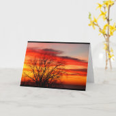 Meer van Winnebago Zonnebakken denken aan jou Kaart (Gele Bloem)