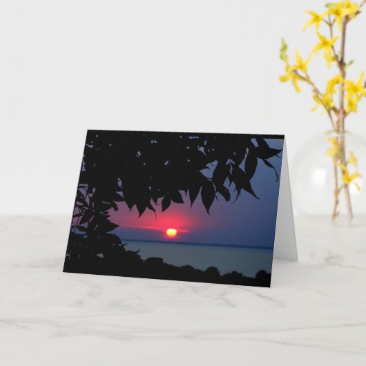 Meer van Winnebago Zonnebakken denken aan jou Kaart (Gele Bloem)