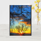 Meer van Winnebago Zonneosie Kaart (Gele Bloem)