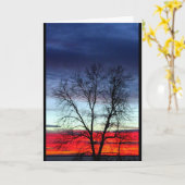 Meer van Winnebago Zonneosie Kaart (Gele Bloem)