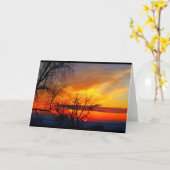 Meer van Winnebago Zonneosie Kaart (Gele Bloem)