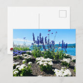 Meer van Zürich Bloemen Briefkaart (Voorkant / Achterkant)