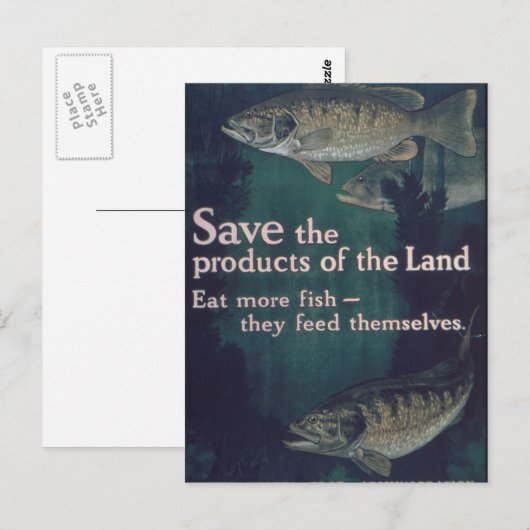 Meer vis eten -  briefkaart (Voorkant / Achterkant)