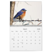Meer vogels in uw achtertuin Agenda 2013 Kalender (Mar 2026)
