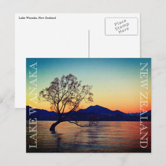 meer-wanaka-boom briefkaart (Voorkant / Achterkant)