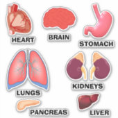 Meer weten over de anatomie van de Thuisschool Sti Sticker (Voorkant)