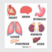 Meer weten over de anatomie van de Thuisschool Sti Sticker (Vel)