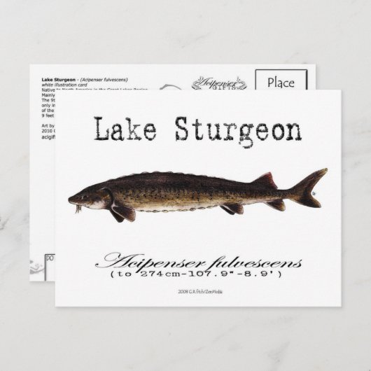 Meer-wit-Briefkaart Briefkaart (Voorkant / Achterkant)