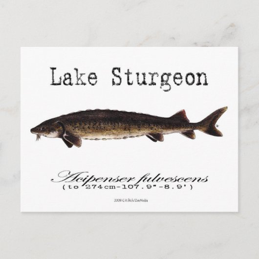 Meer-wit-Briefkaart Briefkaart (Voorkant)