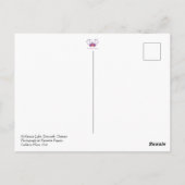 Meer - zomer - reizen - Ontario - canada Briefkaart (Achterkant)