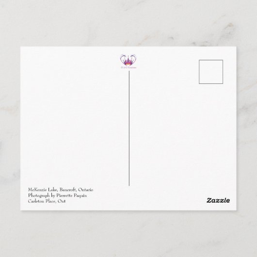 Meer - zomer - reizen - Ontario - canada Briefkaart (Achterkant)