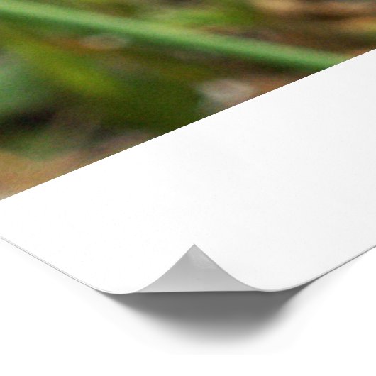 Meerbee poster (Hoek)