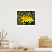 Meerbee poster (Keuken)