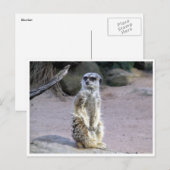 meerbranche briefkaart (Voorkant / Achterkant)