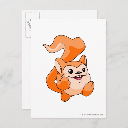 Meerca Sinaasappel Briefkaart (Voorkant / Achterkant)