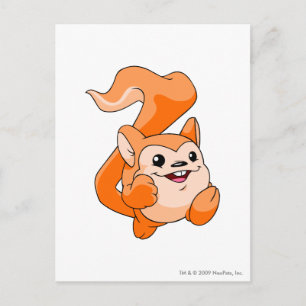 Meerca Sinaasappel Briefkaart