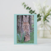 Meercat Cat Briefkaart (Staand voorkant)