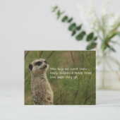 Meercat Haiku Holiday Post Kaart (Staand voorkant)