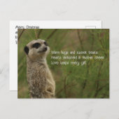 Meercat Haiku Holiday Post Kaart (Voorkant / Achterkant)