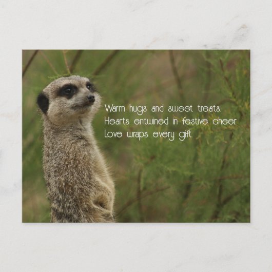 Meercat Haiku Holiday Post Kaart (Voorkant)