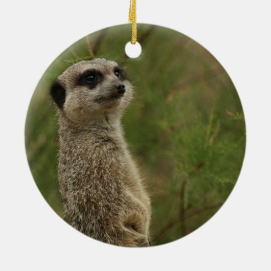 Meercat Merry Christmas Ornament (Achterkant)